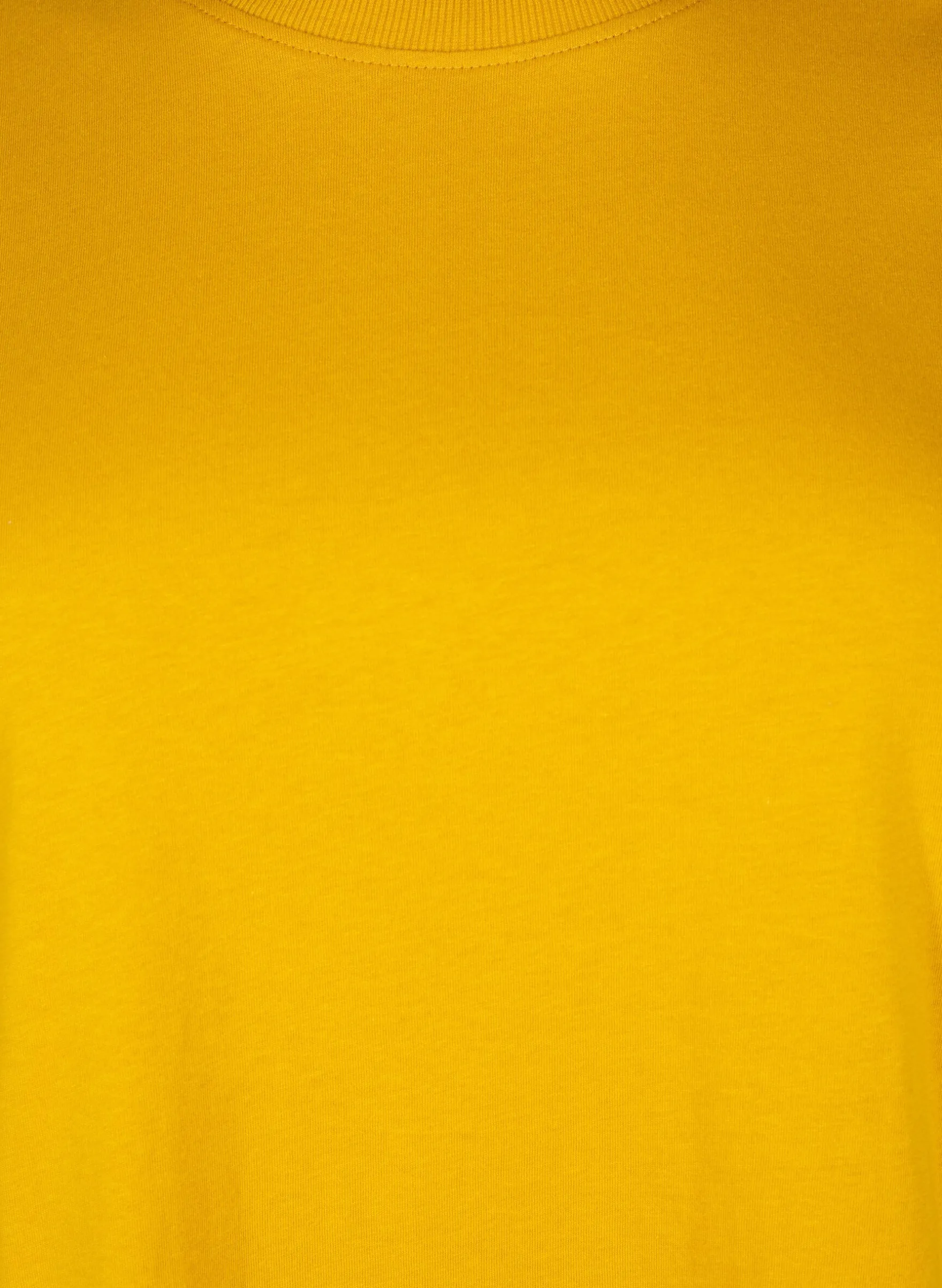 Basic-T-Shirt aus Baumwolle mit Rundhalsausschnitt