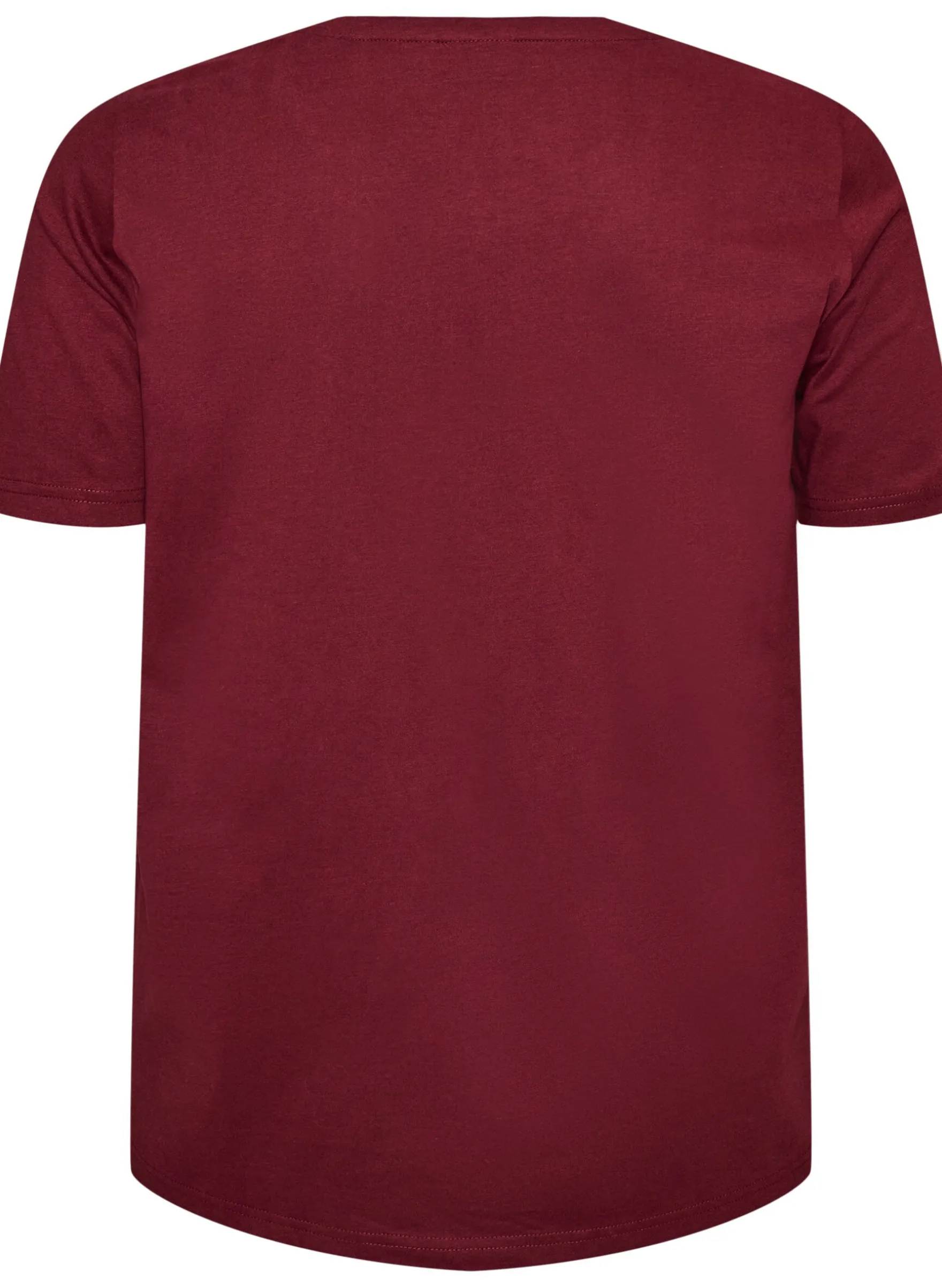 FLASH - T-Shirt mit Print